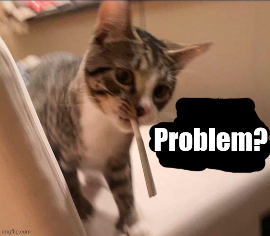 got a problem wit dat cat | Problem? | image tagged in got a problem wit dat cat | made w/ Imgflip meme maker