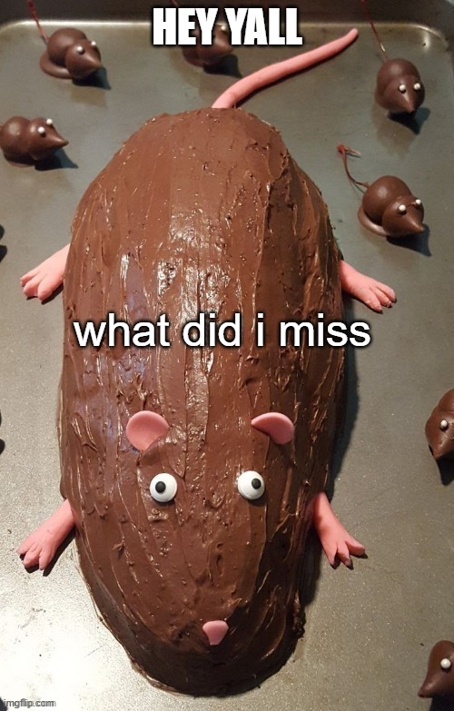 chocolate rat | HEY YALL; what did i miss | image tagged in chocolate rat | made w/ Imgflip meme maker