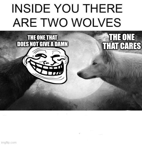 Inside you there are two wolves | THE ONE THAT DOES NOT GIVE A DAMN; THE ONE THAT CARES | image tagged in inside you there are two wolves | made w/ Imgflip meme maker