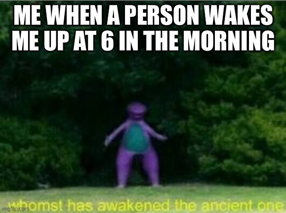 Whomst has awakened the ancient one | ME WHEN A PERSON WAKES ME UP AT 6 IN THE MORNING | image tagged in whomst has awakened the ancient one | made w/ Imgflip meme maker