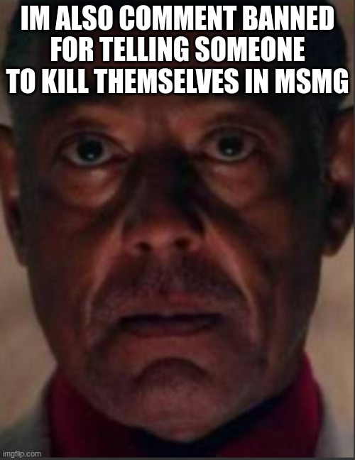 Gus fring | IM ALSO COMMENT BANNED FOR TELLING SOMEONE TO KILL THEMSELVES IN MSMG | image tagged in gus fring | made w/ Imgflip meme maker