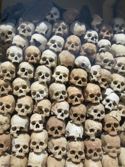 skulls | image tagged in skulls | made w/ Imgflip meme maker