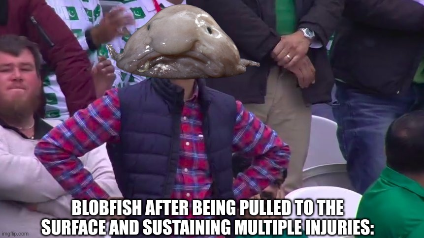blobbymcblobface | BLOBFISH AFTER BEING PULLED TO THE SURFACE AND SUSTAINING MULTIPLE INJURIES: | image tagged in disappointed muhammad sarim akhtar,blobfish,funny memes,memes,funny | made w/ Imgflip meme maker