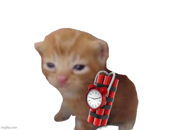 You got caught | image tagged in you got caught | made w/ Imgflip meme maker