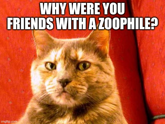 Suspicious Cat Meme | WHY WERE YOU FRIENDS WITH A ZOOPHILE? | image tagged in memes,suspicious cat | made w/ Imgflip meme maker
