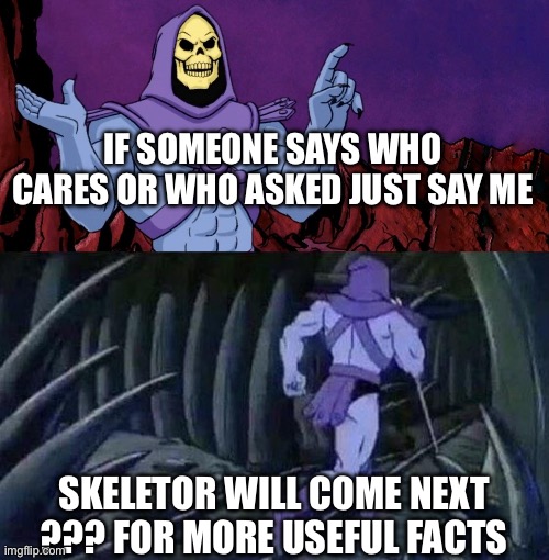 he man skeleton advices | IF SOMEONE SAYS WHO CARES OR WHO ASKED JUST SAY ME; SKELETOR WILL COME NEXT ??? FOR MORE USEFUL FACTS | image tagged in he man skeleton advices,who asked | made w/ Imgflip meme maker