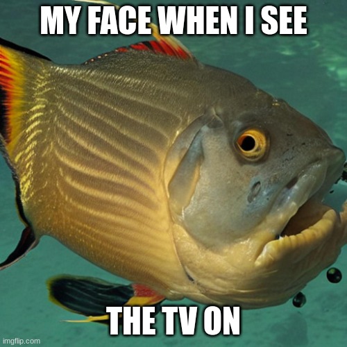 THE TV IS ON | MY FACE WHEN I SEE; THE TV ON | image tagged in my face when fish version | made w/ Imgflip meme maker