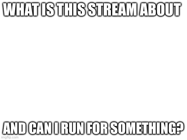 :) I like politics | WHAT IS THIS STREAM ABOUT; AND CAN I RUN FOR SOMETHING? | image tagged in lol | made w/ Imgflip meme maker