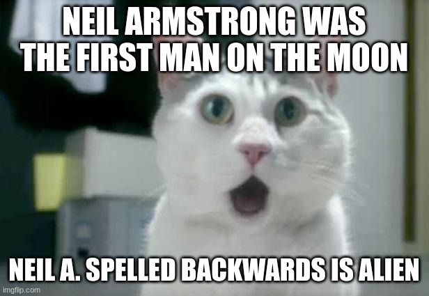 OMG Cat | NEIL ARMSTRONG WAS THE FIRST MAN ON THE MOON; NEIL A. SPELLED BACKWARDS IS ALIEN | image tagged in memes,omg cat | made w/ Imgflip meme maker