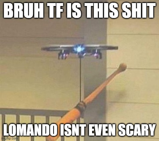 Attack drone | BRUH TF IS THIS SHIT; LOMANDO ISNT EVEN SCARY | image tagged in attack drone | made w/ Imgflip meme maker