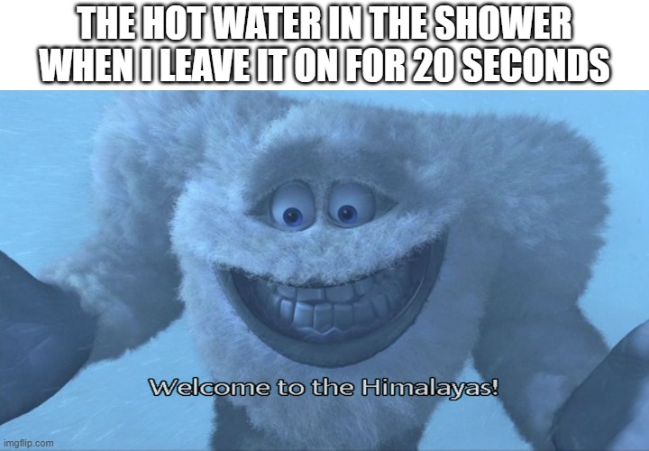 This happens every time I take a shower/bath | THE HOT WATER IN THE SHOWER WHEN I LEAVE IT ON FOR 20 SECONDS | image tagged in welcome to the himalayas,cold,relatable,why,i hate it when,jesus christ | made w/ Imgflip meme maker