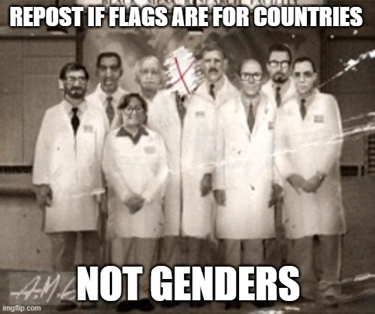 anomalous materials team agrees | REPOST IF FLAGS ARE FOR COUNTRIES; NOT GENDERS | image tagged in anomalous materials team | made w/ Imgflip meme maker