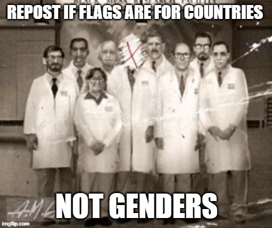 the flag of bolivia is not a gender | made w/ Imgflip meme maker