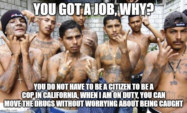 They are only here to do jobs that no one else wants to do | YOU GOT A JOB, WHY? YOU DO NOT HAVE TO BE A CITIZEN TO BE A COP IN CALIFORNIA, WHEN I AM ON DUTY, YOU CAN MOVE THE DRUGS WITHOUT WORRYING ABOUT BEING CAUGHT | image tagged in ms13,illegal cops,drugs,gangs,human trafficking,open borders | made w/ Imgflip meme maker