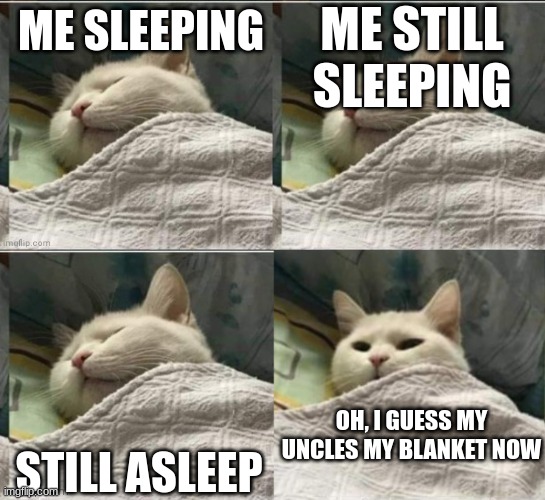 The cat, looks, um, scared | ME STILL SLEEPING; ME SLEEPING; STILL ASLEEP; OH, I GUESS MY UNCLES MY BLANKET NOW | image tagged in cat sleeping uder blanket blank | made w/ Imgflip meme maker
