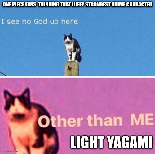 Hail pole cat | ONE PIECE FANS  THINKING THAT LUFFY STRONGEST ANIME CHARACTER; LIGHT YAGAMI | image tagged in hail pole cat | made w/ Imgflip meme maker