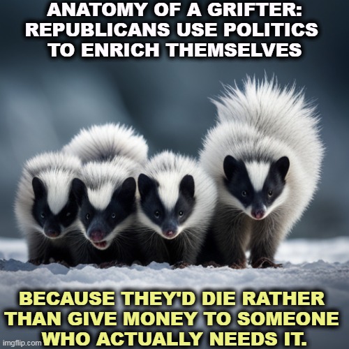Republicans hate the working poor. The working poor haven't figured that out yet. | ANATOMY OF A GRIFTER:
REPUBLICANS USE POLITICS 
TO ENRICH THEMSELVES; BECAUSE THEY'D DIE RATHER 
THAN GIVE MONEY TO SOMEONE 
WHO ACTUALLY NEEDS IT. | image tagged in republicans,grifters,cheaters,con man,hate,poor people | made w/ Imgflip meme maker