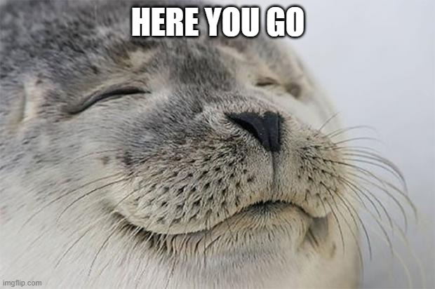 Satisfied Seal Meme | HERE YOU GO | image tagged in memes,satisfied seal | made w/ Imgflip meme maker