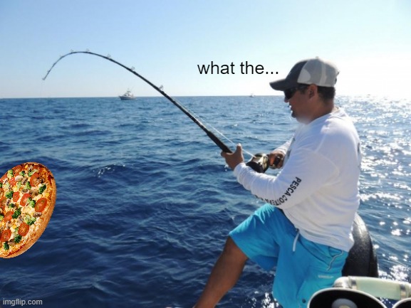 fishing  | what the... | image tagged in fishing | made w/ Imgflip meme maker