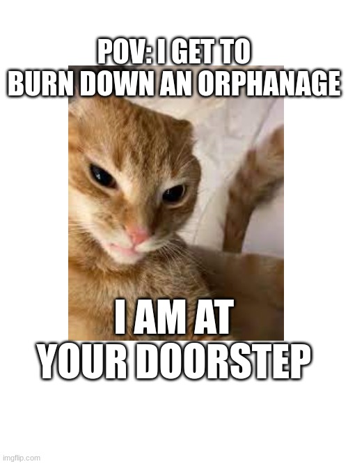 Yes | POV: I GET TO BURN DOWN AN ORPHANAGE; I AM AT YOUR DOORSTEP | image tagged in funny cats,bernie i am once again asking for your support | made w/ Imgflip meme maker