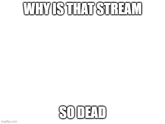 why? | WHY IS THAT STREAM; SO DEAD | image tagged in blank white template,why | made w/ Imgflip meme maker