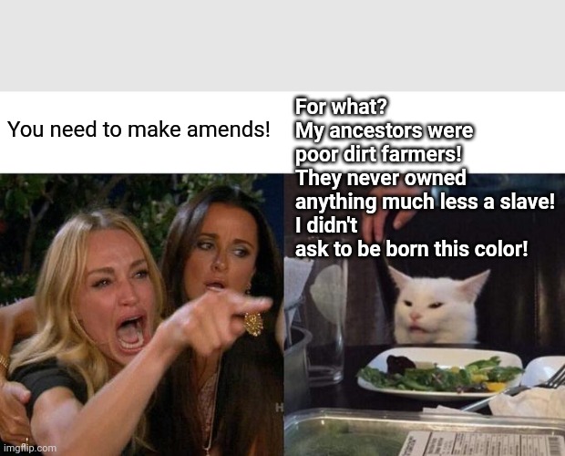 Woman Yelling At Cat Meme | You need to make amends! For what?  
My ancestors were poor dirt farmers!  
They never owned anything much less a slave!
I didn't ask to be  | image tagged in memes,woman yelling at cat | made w/ Imgflip meme maker
