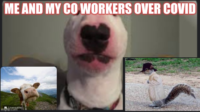 ME AND MY CO WORKERS OVER COVID | made w/ Imgflip meme maker