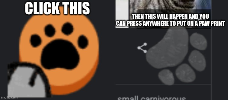 CLICK THIS THEN THIS WILL HAPPEN AND YOU CAN PRESS ANYWHERE TO PUT ON A PAW PRINT | made w/ Imgflip meme maker