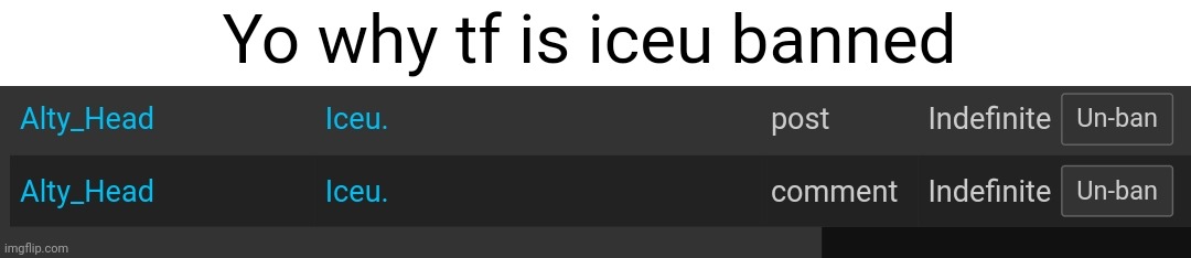 Yo why tf is iceu banned | made w/ Imgflip meme maker