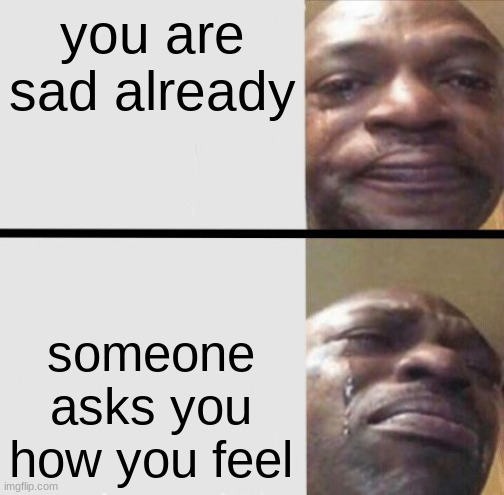 makes me break down ngl | you are sad already; someone asks you how you feel | image tagged in crying black dude weed | made w/ Imgflip meme maker