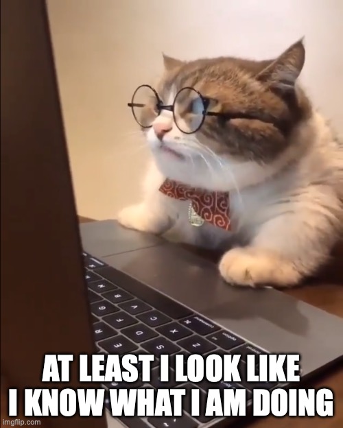research cat | AT LEAST I LOOK LIKE I KNOW WHAT I AM DOING | image tagged in research cat | made w/ Imgflip meme maker