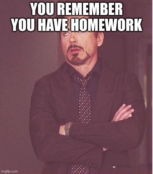 ahhk | YOU REMEMBER YOU HAVE HOMEWORK | image tagged in memes,face you make robert downey jr | made w/ Imgflip meme maker