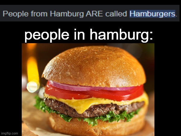 hamburger | people in hamburg: | image tagged in hamburger | made w/ Imgflip meme maker