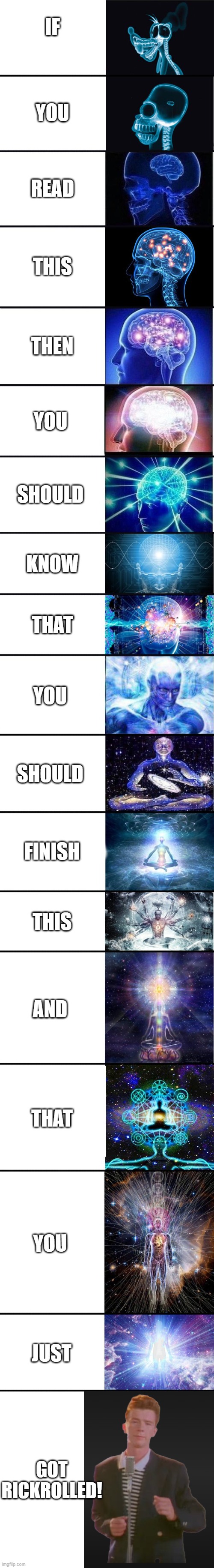 If you read this.......... | IF; YOU; READ; THIS; THEN; YOU; SHOULD; KNOW; THAT; YOU; SHOULD; FINISH; THIS; AND; THAT; YOU; JUST; GOT RICKROLLED! | image tagged in memes | made w/ Imgflip meme maker