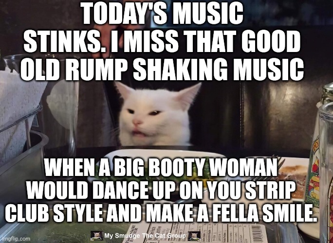 TODAY'S MUSIC STINKS. I MISS THAT GOOD OLD RUMP SHAKING MUSIC; WHEN A BIG BOOTY WOMAN WOULD DANCE UP ON YOU STRIP CLUB STYLE AND MAKE A FELLA SMILE. | image tagged in smudge the cat | made w/ Imgflip meme maker
