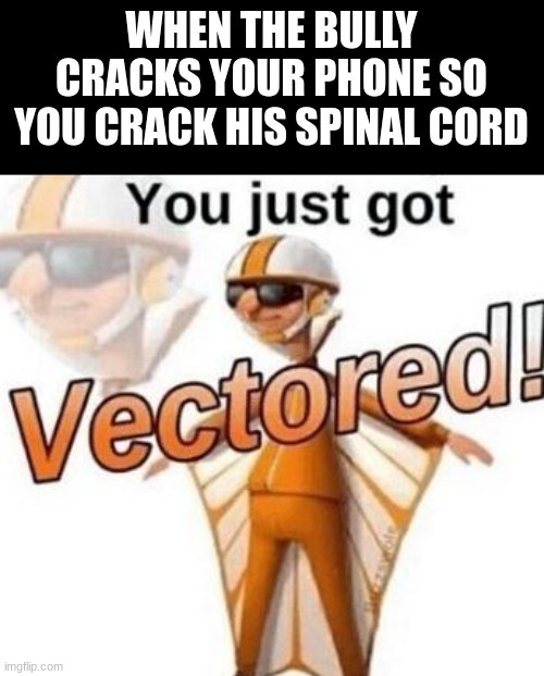 Oh yeah | WHEN THE BULLY CRACKS YOUR PHONE SO YOU CRACK HIS SPINAL CORD | image tagged in you just got vectored | made w/ Imgflip meme maker