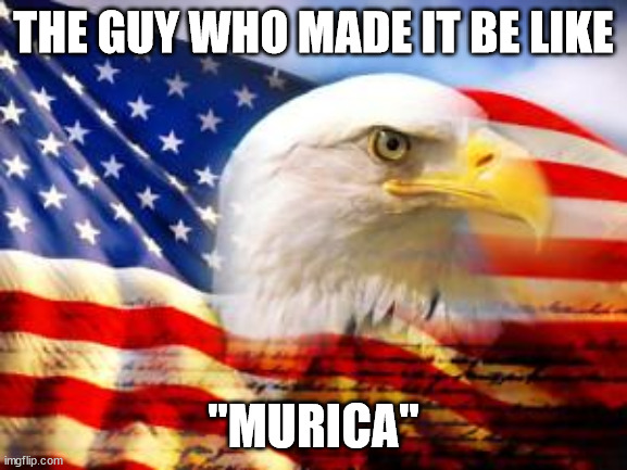 American Flag | THE GUY WHO MADE IT BE LIKE "MURICA" | image tagged in american flag | made w/ Imgflip meme maker
