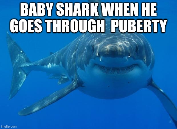 Straight White Shark | BABY SHARK WHEN HE GOES THROUGH  PUBERTY | image tagged in straight white shark,shark | made w/ Imgflip meme maker