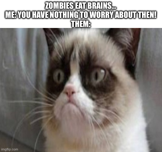 Roast fam | ZOMBIES EAT BRAINS…
ME: YOU HAVE NOTHING TO WORRY ABOUT THEN!
THEM: | image tagged in grumpy cat,memes,roasted | made w/ Imgflip meme maker