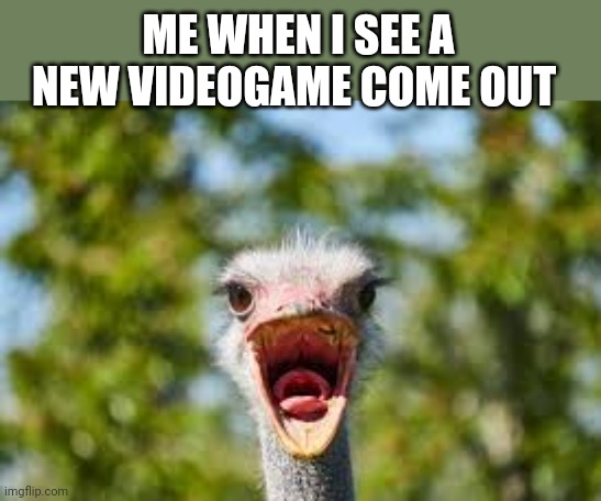 Oh my God yesss | ME WHEN I SEE A NEW VIDEOGAME COME OUT | image tagged in yelling ostrich,videogames | made w/ Imgflip meme maker