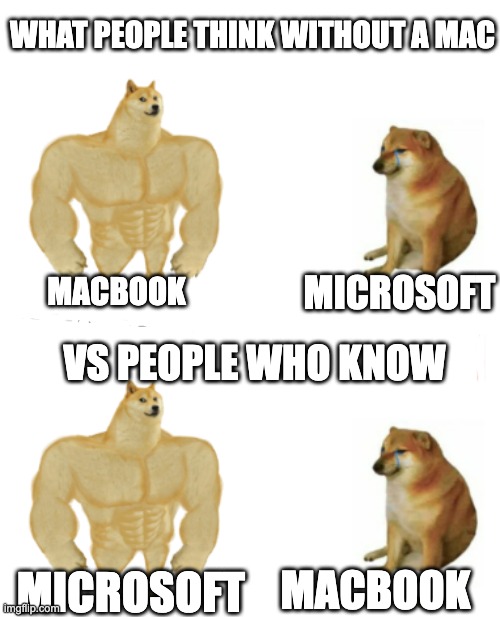 bro my mac was screaming at me and still is | WHAT PEOPLE THINK WITHOUT A MAC; MACBOOK; MICROSOFT; VS PEOPLE WHO KNOW; MACBOOK; MICROSOFT | image tagged in buff doge vs cheems,microsoft,apple | made w/ Imgflip meme maker