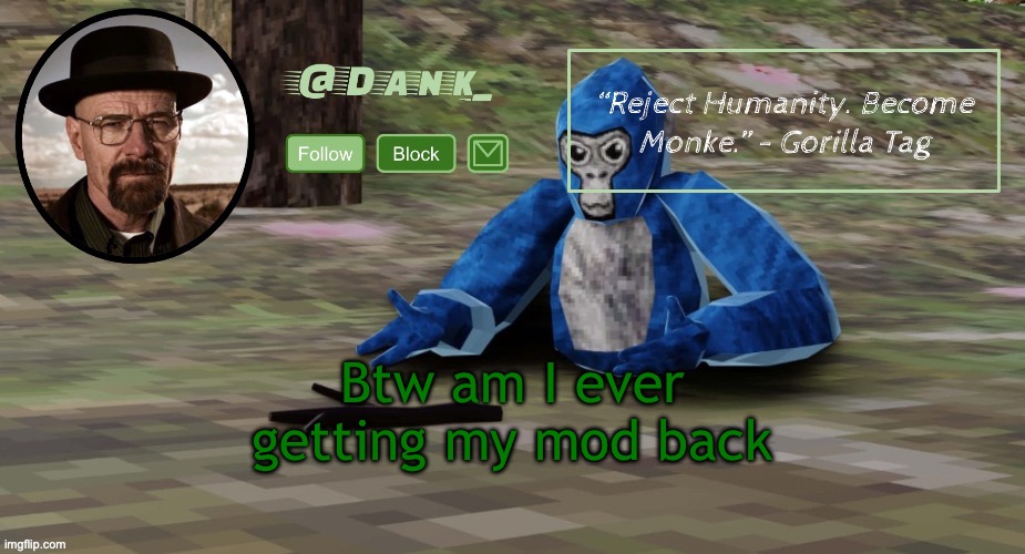 Gorilla Tag temp (by del) | Btw am I ever getting my mod back | image tagged in gorilla tag temp by del | made w/ Imgflip meme maker