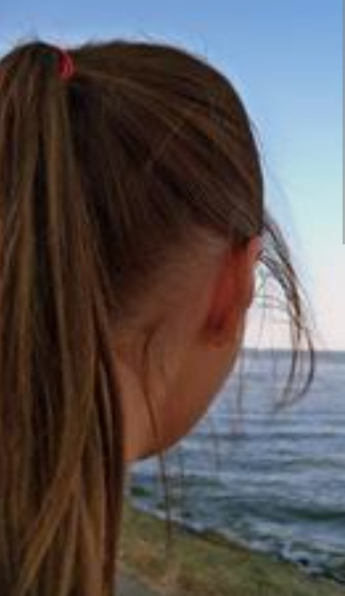 Gabriela Hulea Blank Meme Template