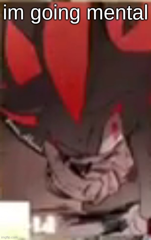 im going mental | made w/ Imgflip meme maker