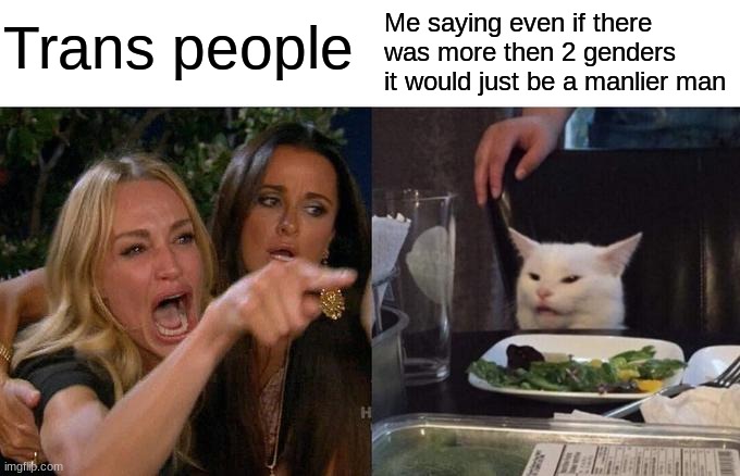 Woman Yelling At Cat | Trans people; Me saying even if there was more then 2 genders it would just be a manlier man | image tagged in memes,woman yelling at cat | made w/ Imgflip meme maker