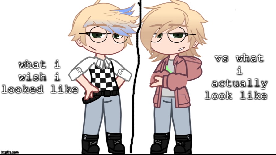 how i wish i looked vs how i actually look | vs what i actually look like; what i wish i looked like | image tagged in gacha | made w/ Imgflip meme maker