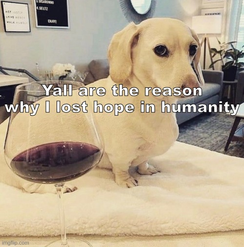 Can comment again btw | Yall are the reason why I lost hope in humanity | image tagged in homophobic dog,shitpost,msmg,oh wow are you actually reading these tags | made w/ Imgflip meme maker