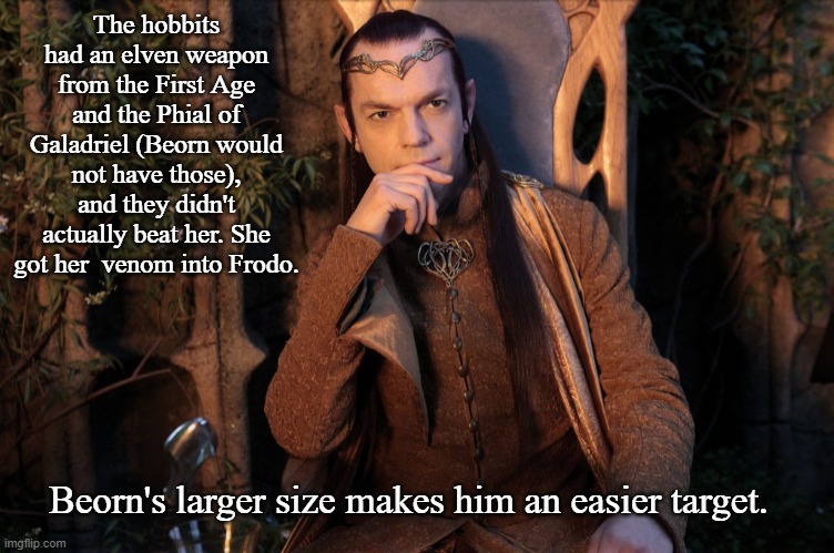Elrond | The hobbits had an elven weapon from the First Age and the Phial of Galadriel (Beorn would not have those), and they didn't actually beat he | image tagged in elrond | made w/ Imgflip meme maker