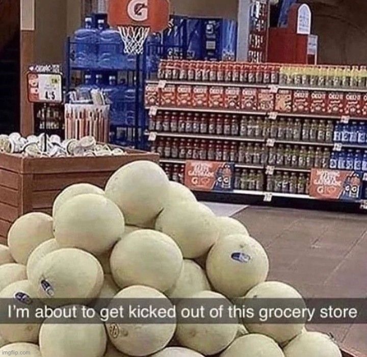 image tagged in memes | made w/ Imgflip meme maker