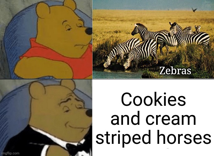 Zebras | Zebras; Cookies and cream striped horses | image tagged in memes,tuxedo winnie the pooh,zebras,zebra,shower thoughts,shower thought | made w/ Imgflip meme maker